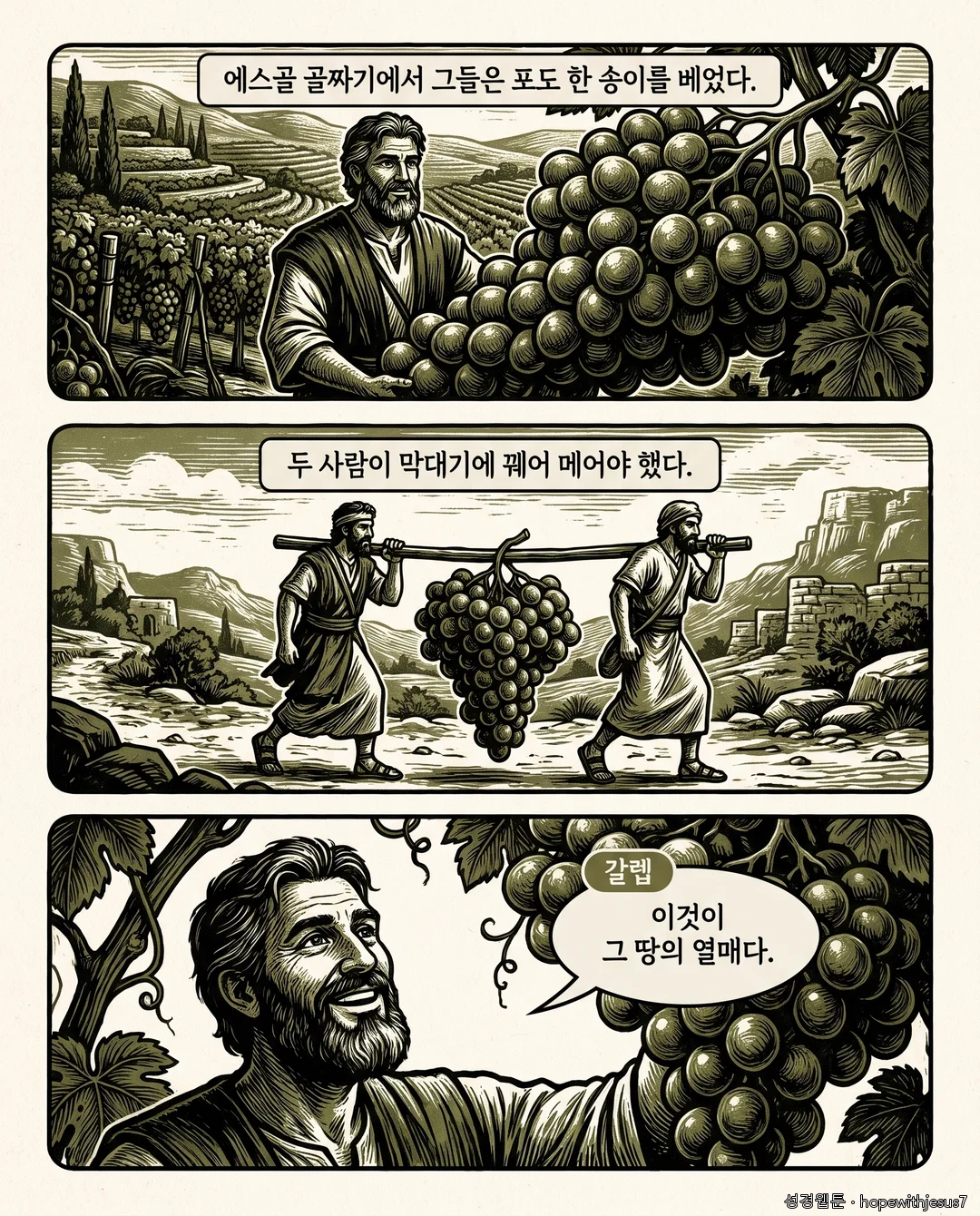 레위기·민수기_E12_p05
